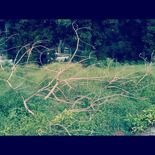 07d6beae95ae42c3a8b06a5fbbbba882_6