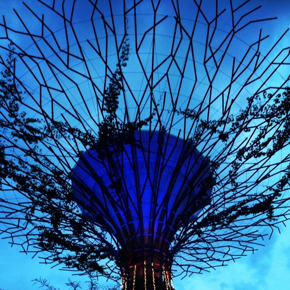 Gardens By The Bay - Christmas 2014