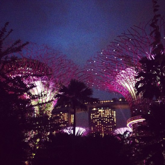 Gardens By The Bay - Christmas 2014