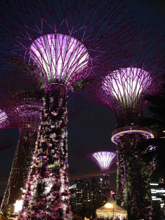Gardens By The Bay - Christmas 2014