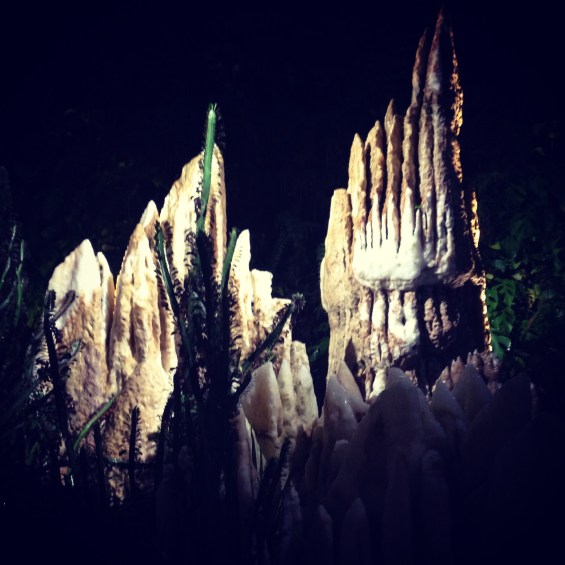 Gardens By The Bay - Christmas 2014