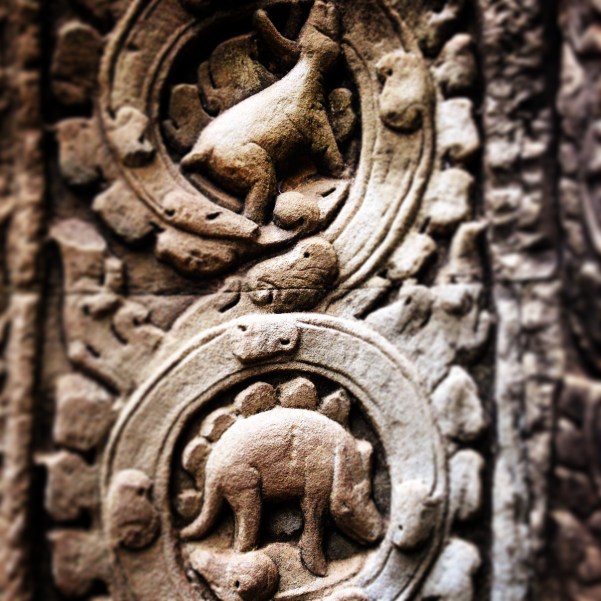 According to the guide, this is proof that the temples were built when dinosaurs roamed the land... 