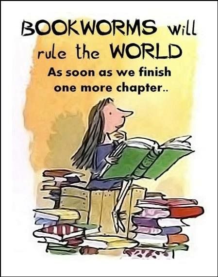 b501a90571d13335dee4cd1defc4fcae