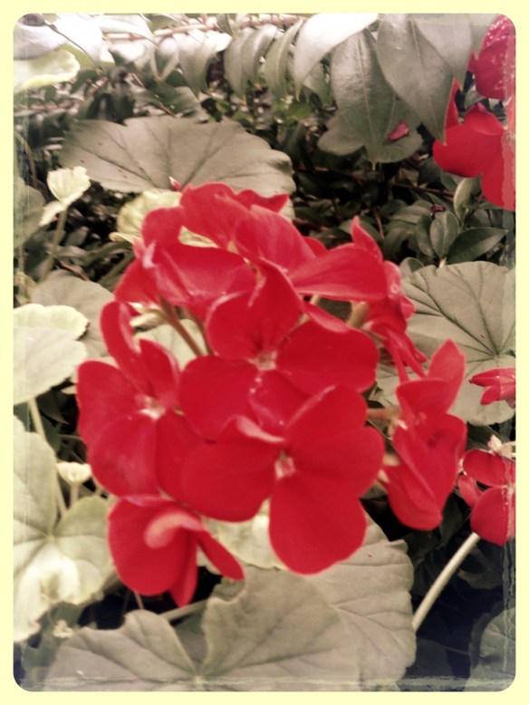 8283145087_652903f454_o