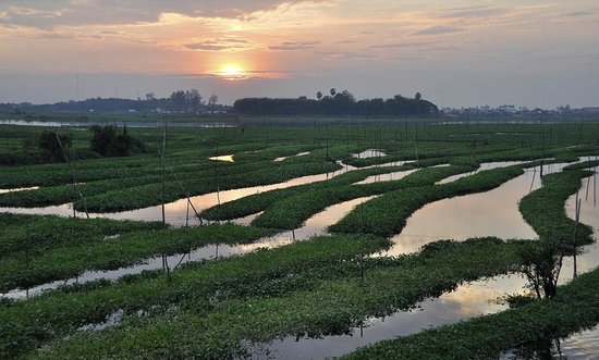 bigphotoforphnom-penh