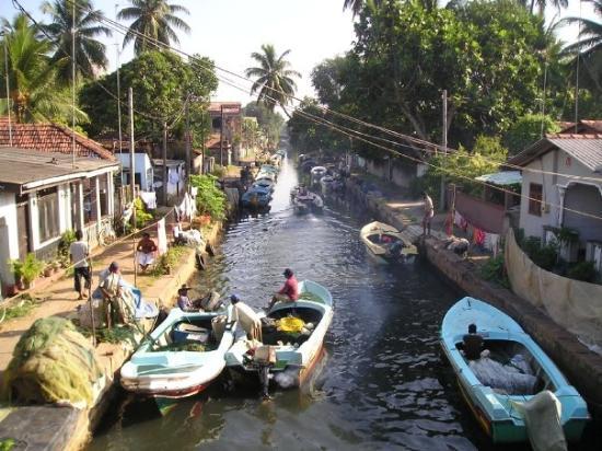 negombo-sri-lanka-dutsch