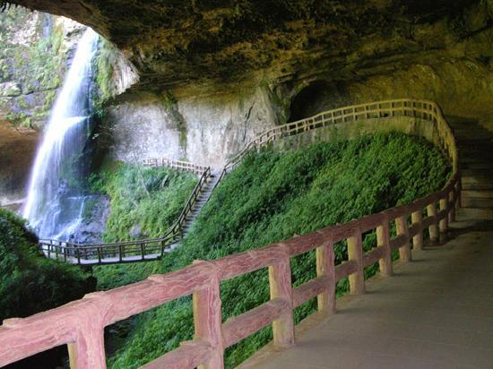 sun-link-sea-forest-recreation